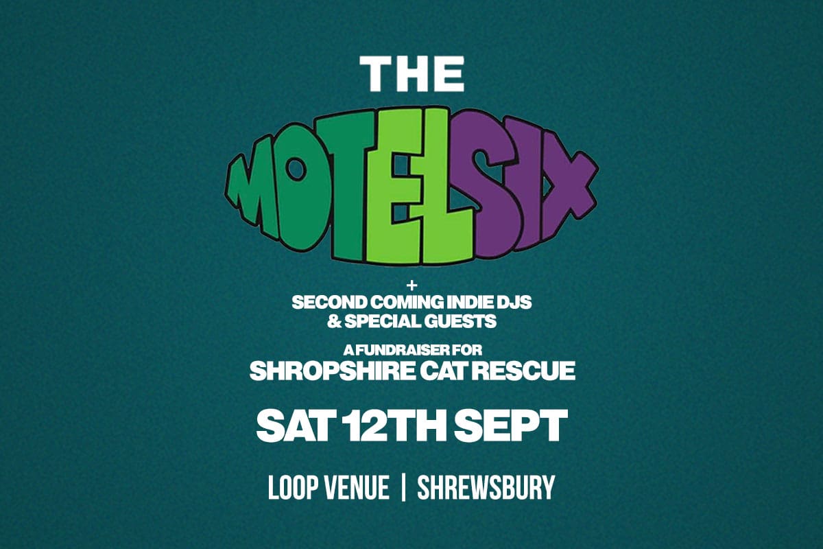 Shropshire Cat Rescue Fundraiser
